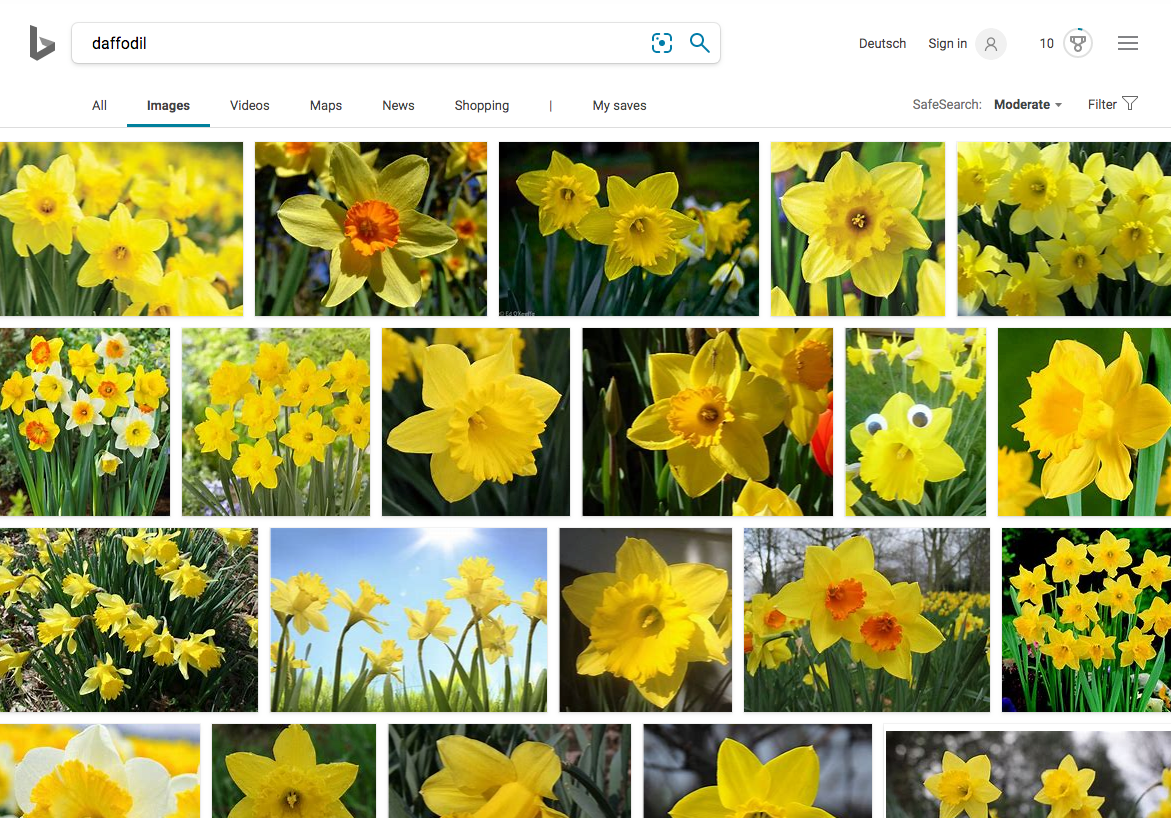 best image search engine Bing